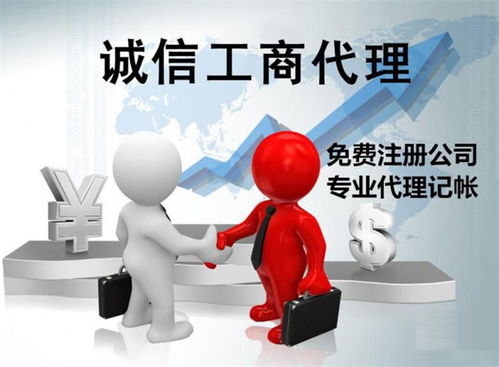 代办记账财务公司 兴国县记账 金漫庭代办公司收费低